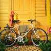 buffalobike