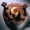 speckled-egg-and-rusty-thing