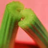 celery_0