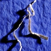 twistees