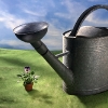 bigwateringcan_0
