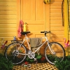 buffalobike_0