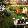 summerbackyard
