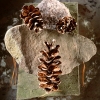 3-conesrocks