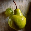 peargall_0