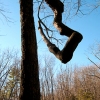 twisting tree by Split Rock